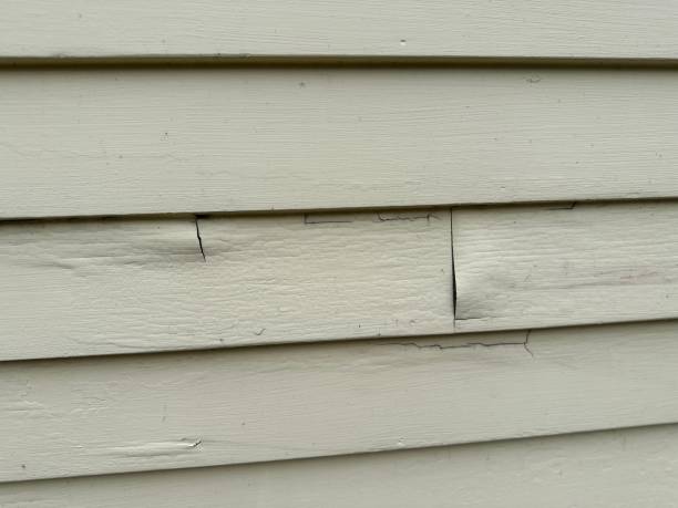 Best Shed Removal  in Cao, ND